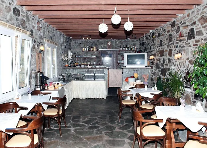 عطلات فانا 2*